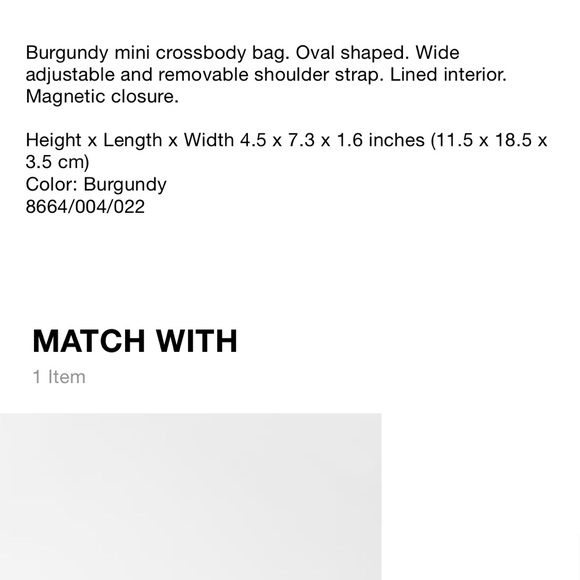 SOLD- Zara - New Burgundy Mini Crossbody Bag - Picture 8 of 8